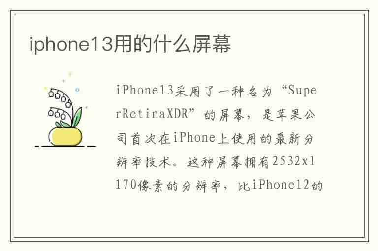 iphone13用的什么屏幕(iPhone13用的什么屏幕材质)